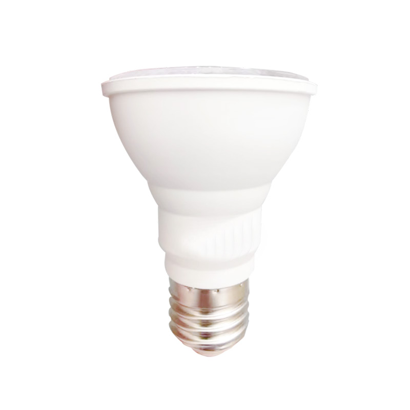 Wellslite-020 LED PAR-Bulb